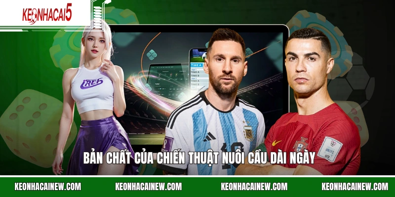 Bản chất cõi chiến thuật nuôi cầu dài ngày cực chuẩn