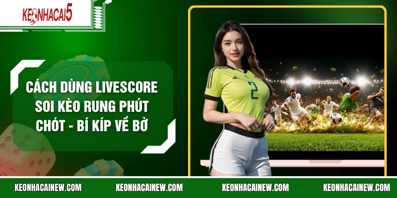 Cách Dùng Livescore Soi Kèo Rung Phút Chót - Bí Kíp Về Bờ
