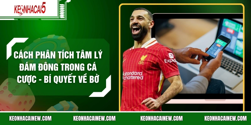 Cách Phân Tích Tâm Lý Đám Đông Trong Cá Cược - Bí Quyết Về Bờ