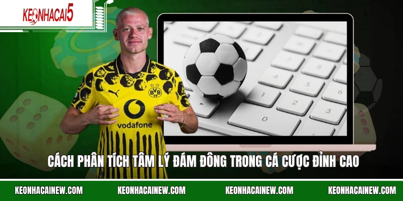 Cách phân tích tâm lý đám đông trong cá cược đỉnh cao