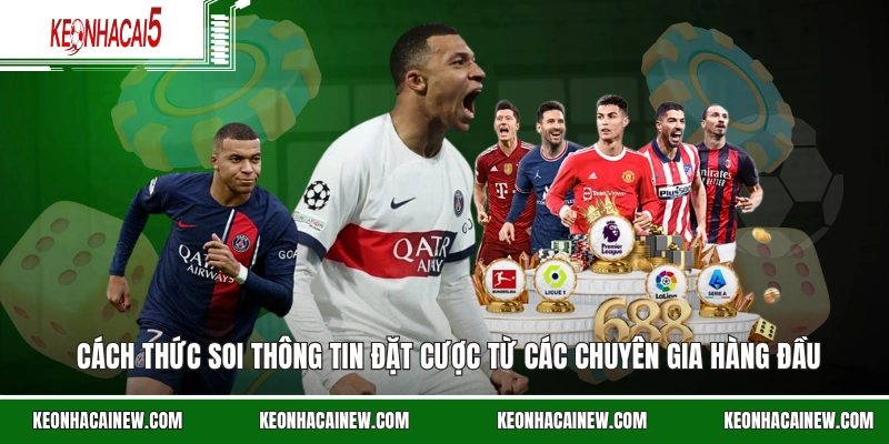 Cách thức soi thông tin đặt cược từ các chuyên gia hàng đầu
